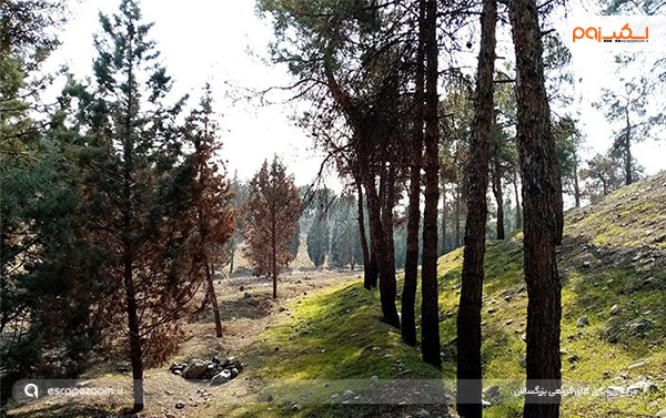 خرگوش دره؛ تفریحات غرب تهران