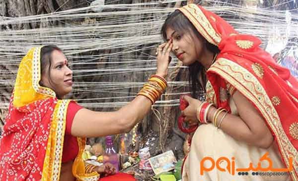 ازدواج با درخت در هند جزو مراسم عجیب در دنیا ست