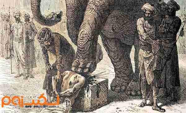 له شدن قربانی زیر پای فیل از بدترین شکنجه های هند