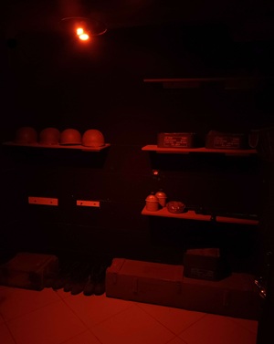 اردوگاه گشتاپو