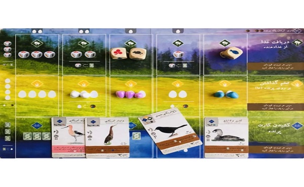 بردگیم وینگسپن