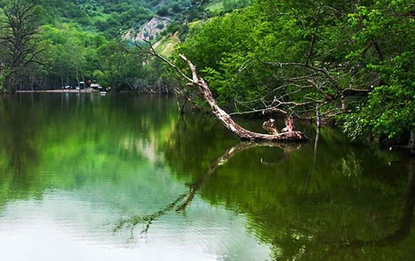 روستا کوتنا