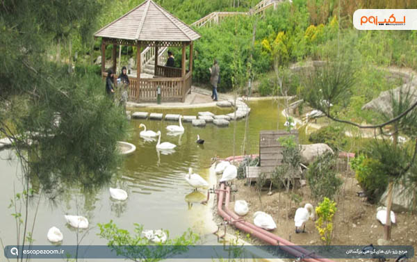 حیات وحش دارآباد