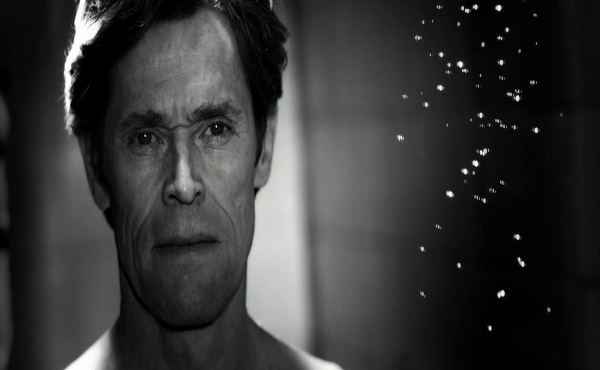 فیلم آنارشیست