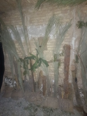 روستای آق تپه