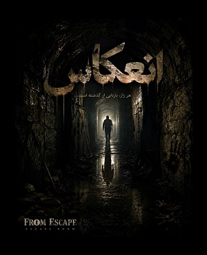 انعکاس